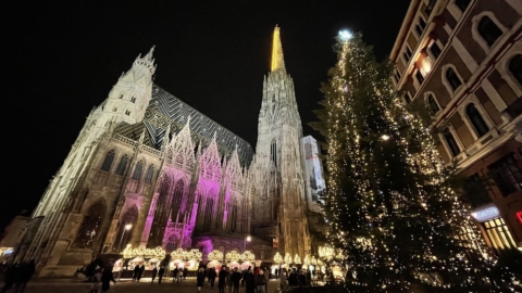 The Advent concert of the Vienna Symphony Orchestra in St. Stephen’s Cathedral